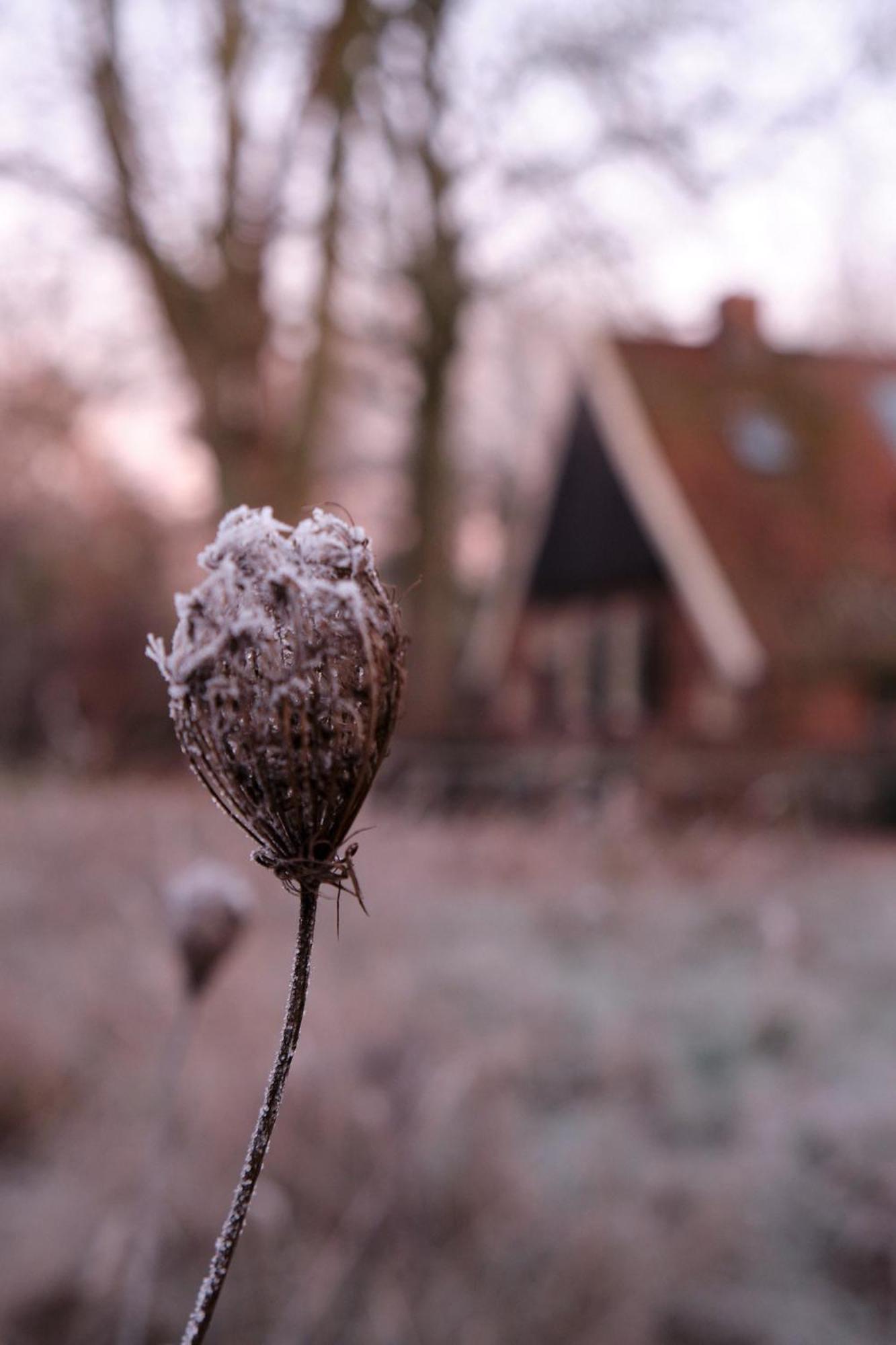 Loosan Lodges Gastenhuis Reutum Exterior foto